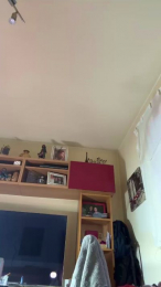 MissLu27 webcam model stream image
