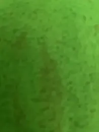 MilfSexMania webcam model stream image