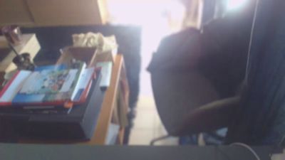 ptibear1 webcam model stream image