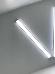 alicee16 webcam model stream image