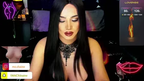 fancySHAINExxx webcam model stream image