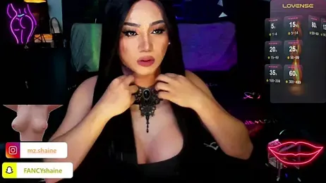 fancySHAINExxx webcam model stream image