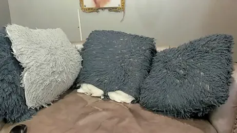 jisuscat webcam model stream image