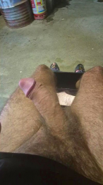 fac2613 webcam model stream image