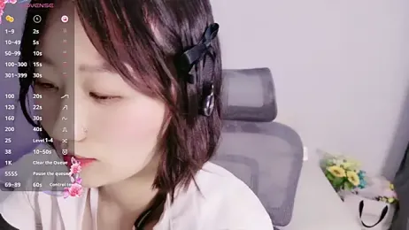winter11 webcam model stream image