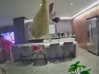 voyeurcam-casa-salsa-fishtank webcam model stream image