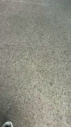 Chaudasse755 webcam model stream image