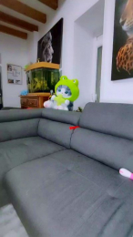 Roxynude webcam model stream image