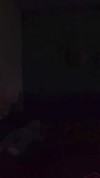 Morenogatorj99 webcam model stream image