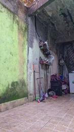 Morenogatorj99 webcam model stream image