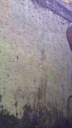 Morenogatorj99 webcam model stream image