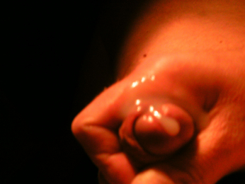 GermanyWichser webcam model stream image