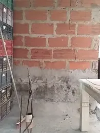 hoteder webcam model stream image