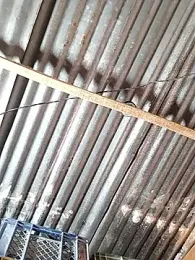 hoteder webcam stripchat model stream image