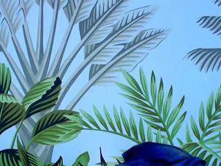 Pierce Bailey webcam model stream image