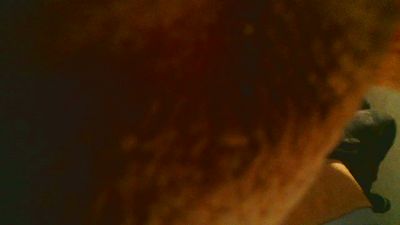 SamuelTal webcam model stream image