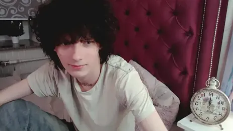 metlVV webcam model stream image