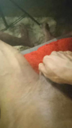 Theuzinho20cm webcam model stream image