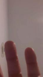 Agelessheat webcam model stream image