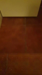 tego19 webcam model stream image