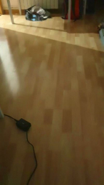 tego19 webcam model stream image
