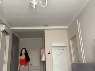 toshiaridpath webcam model stream image