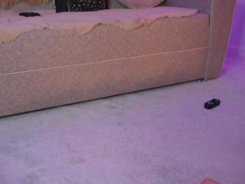 curlynatashaa webcam model stream image