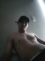 japalinfo webcam preview