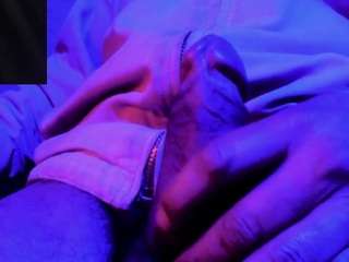 flexonaier webcam model stream image