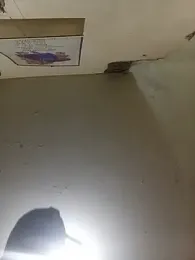 bxbicho20 webcam model stream image