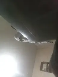 bxbicho20 webcam model stream image