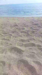 Salxxx webcam model stream image