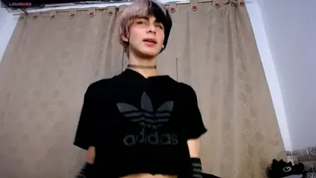 DaraSweet20 webcam stripchat model stream image