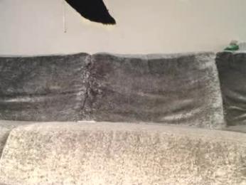 drobbb656 webcam model stream image