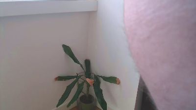 xxx_milo_xxx webcam model stream image