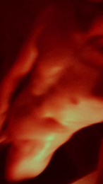 Elicaone webcam model stream image