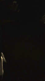 Elicaone webcam model stream image