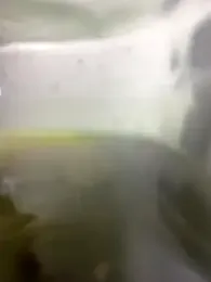 Can0601 webcam model stream image