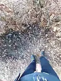 slaveman4you webcam model stream image