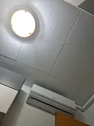 Javier_bear webcam model stream image