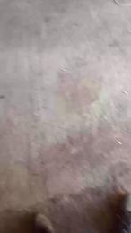 corn104 webcam cam4 model stream image