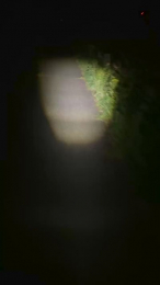 magicman5 webcam model stream image
