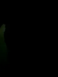 efren13 webcam model stream image