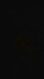 Iava_08 webcam model stream image