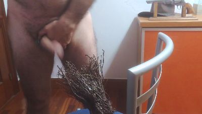 txintxo webcam model stream image