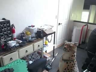 amandahugnkiss webcam model stream image