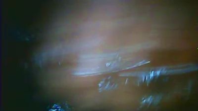 ELNegroxsalvajx webcam model stream image