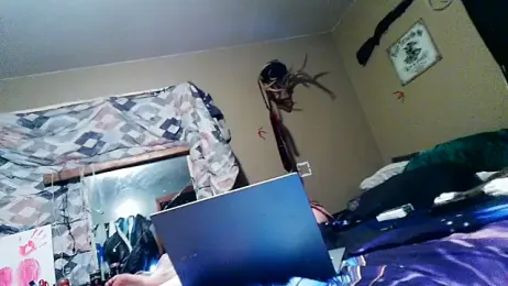 flavi1996 webcam model stream image