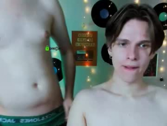 jax_telys webcam model stream image