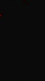 Bibalala webcam model stream image